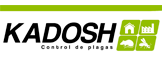 kadosh